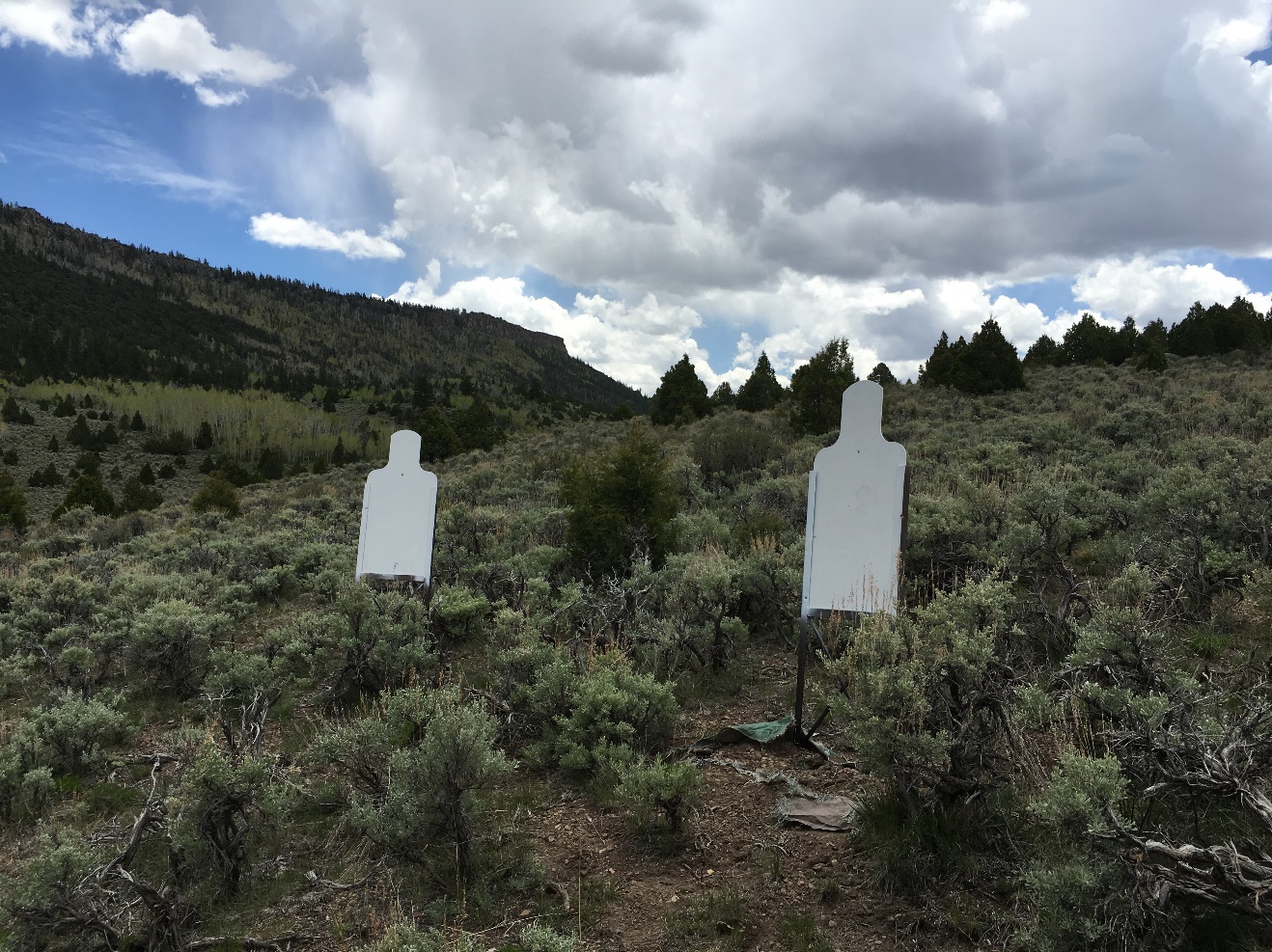 Mid Canyon Firing Points (Red) and Targets